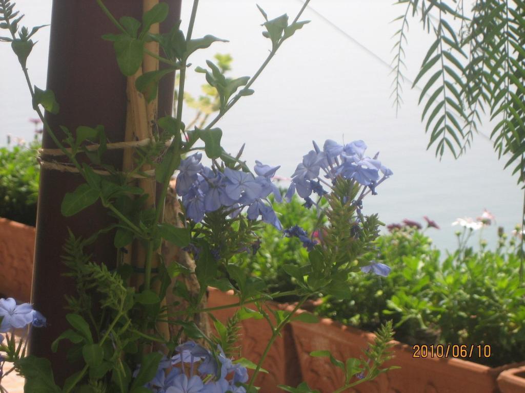 Villa Marietta Minori Dış mekan fotoğraf